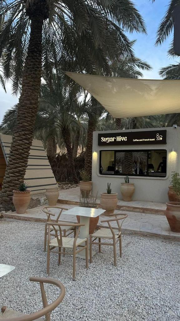 دكة شاي وينتر gallery