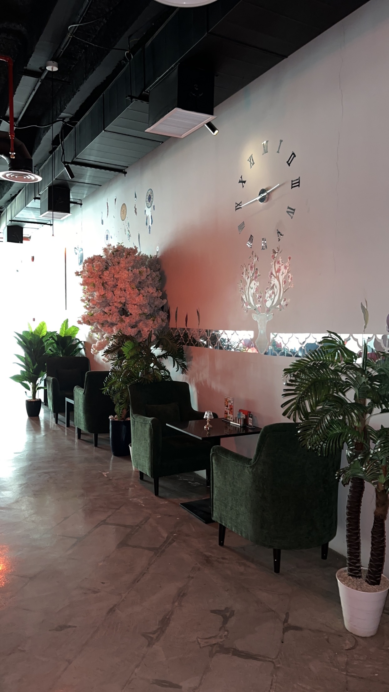 نوني لونا لاونج gallery