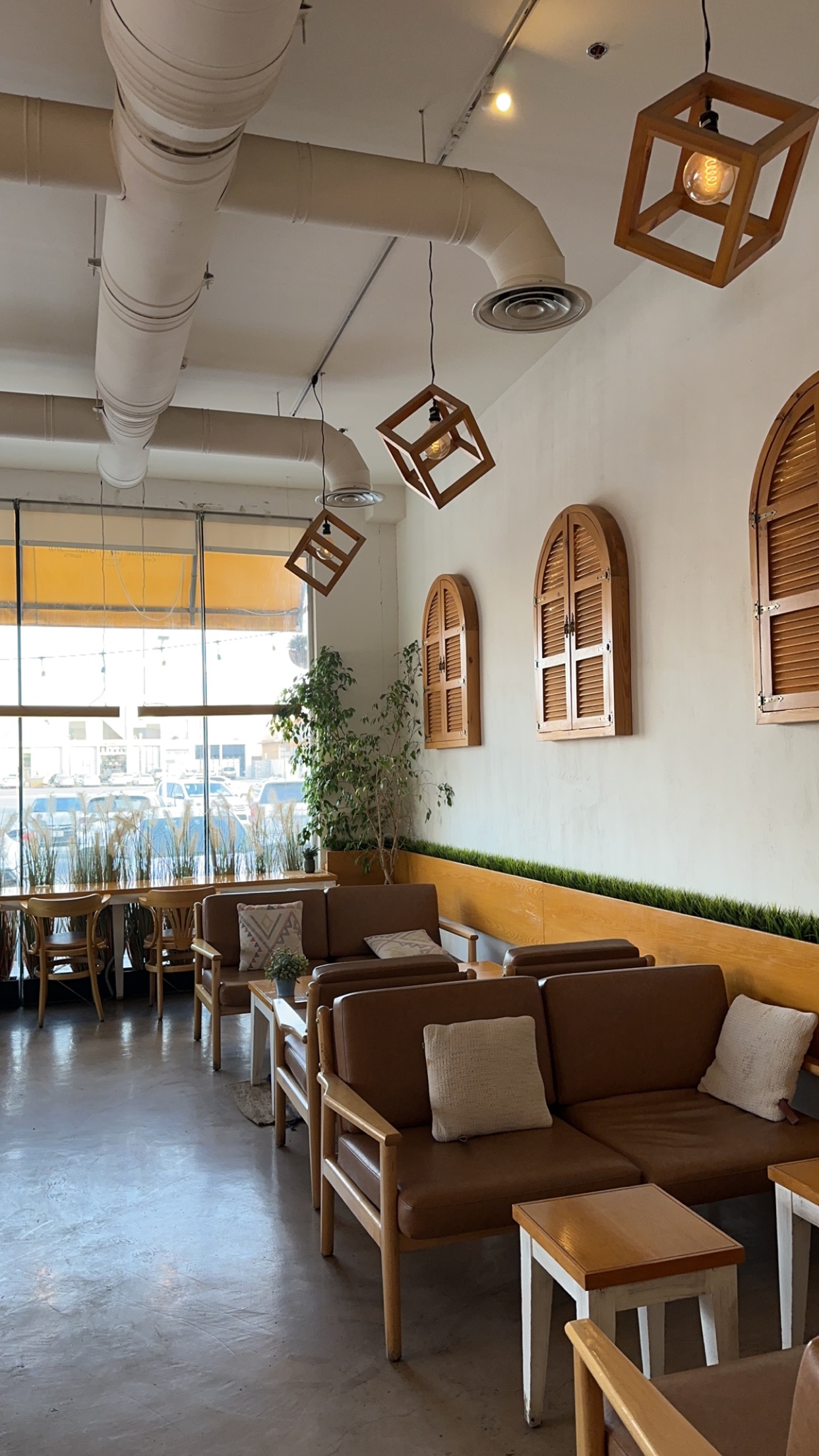 يلو تشيري gallery